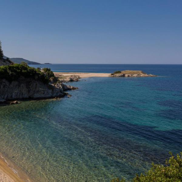 Τορώνη