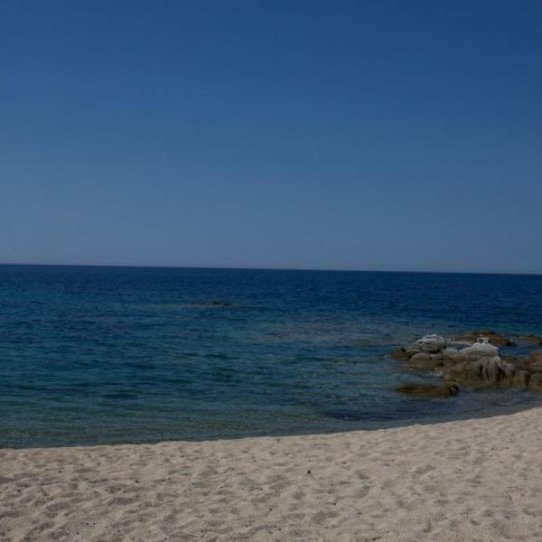 Τορώνη