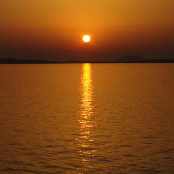 Τορώνη